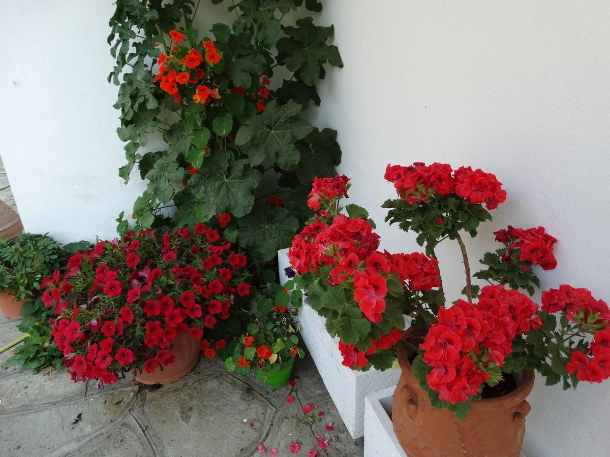 Christakos Apartments Vrasná Екстериор снимка